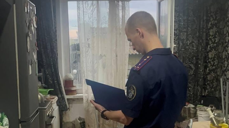 В организмах детей красноярской семьи не нашли дихлофоса