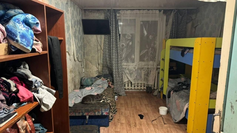 В организмах детей красноярской семьи не нашли дихлофоса