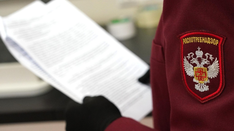 Роскомнадзор уведомил о поддельных сервисах проверки заблокированных сайтов