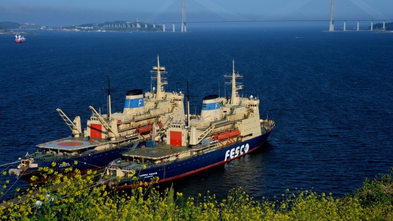 Страны БРИКС проявляют интерес к Северному морскому пути, заявил Путин