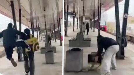 В Госдуме попросили проверить видео нападения подростков на курьера