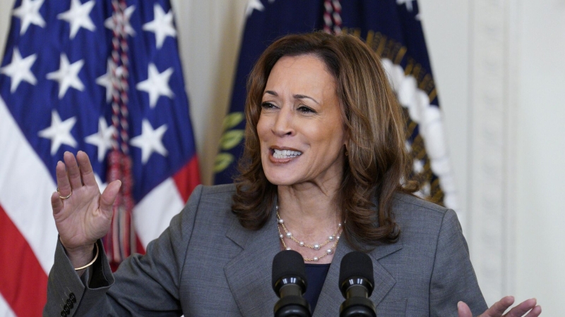 Харрис лидирует по агрегаторам опросов в США