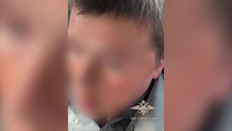Юрист назвал возможное наказание для похитителя кенгурят