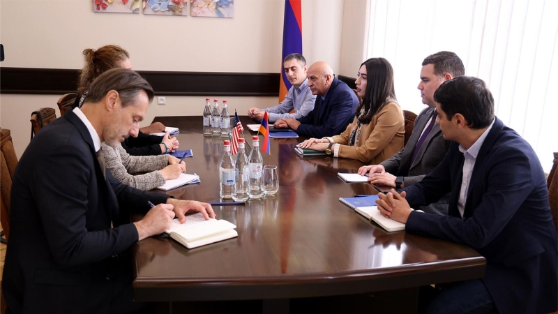 Замглавы МВД Армении доложила чиновнику Госдепа по теме кибербезопасности