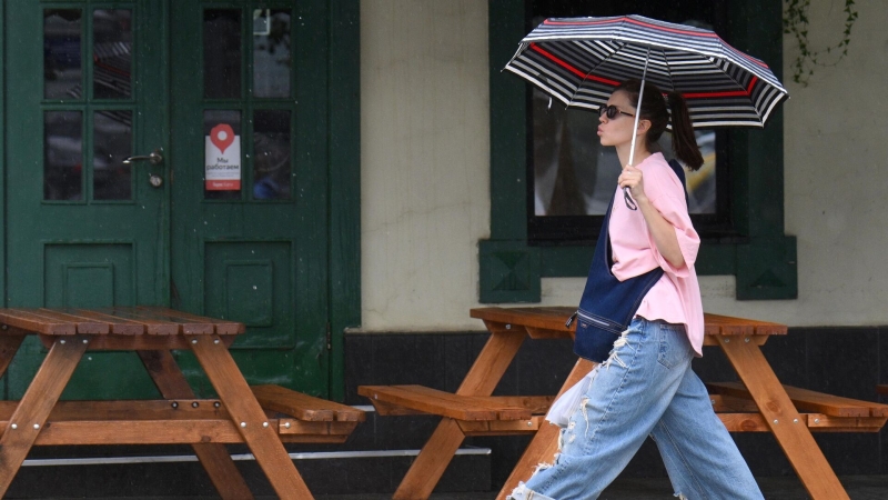 Климатолог отметил рост случаев засухи в России