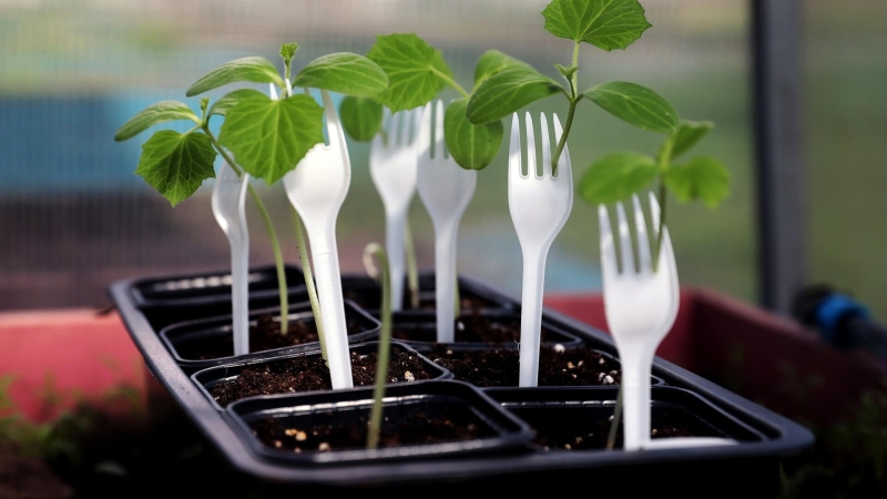 Юристы рассказали, когда можно потерять жилье или деньги при наследовании