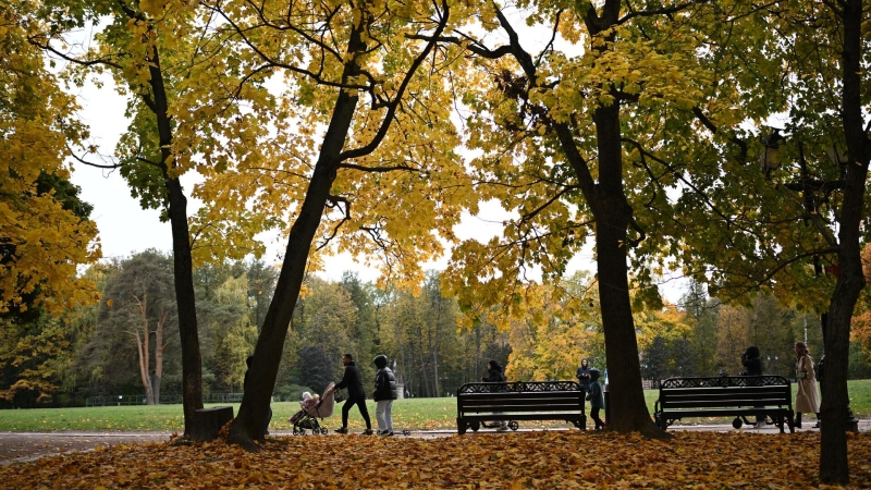 Эксперт рассказала, когда стоит ожидать подъема заболеваемости ОРВИ