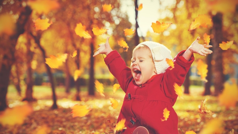 Что отмечают 7 ноября в России и в мире: красные даты календаря