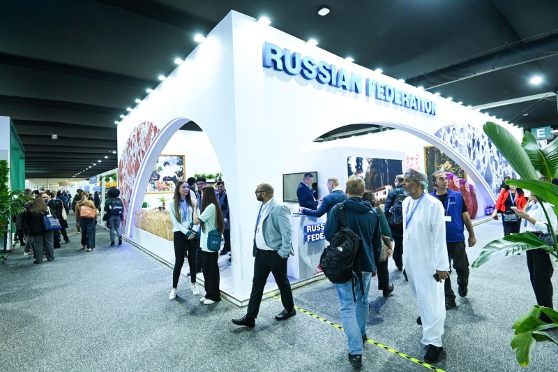 На COP 29 обсудили реализацию потенциала климатических проектов в России