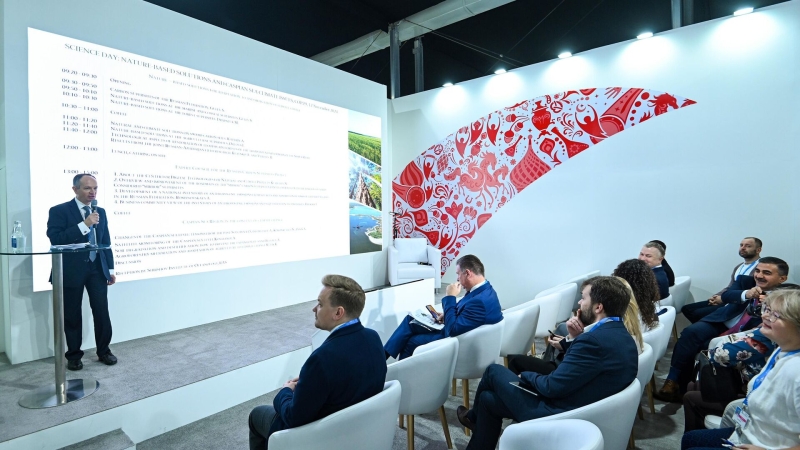 На COP 29 обсудили реализацию потенциала климатических проектов в России