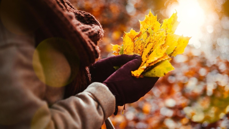 Какой сегодня праздник: что отмечают в России и в мире 13 ноября