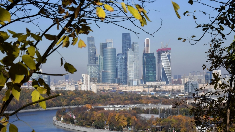 Генераторы и сезонные фрукты отправили из Сочи в зону СВО