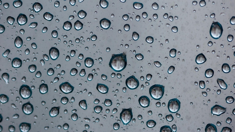 В БФУ придумали, как получать гели в виде микроскопических плоских фигур