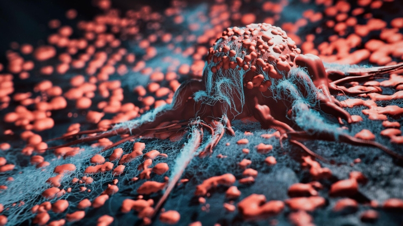 В Омске предложили новый способ получения веществ для клеточных красителей