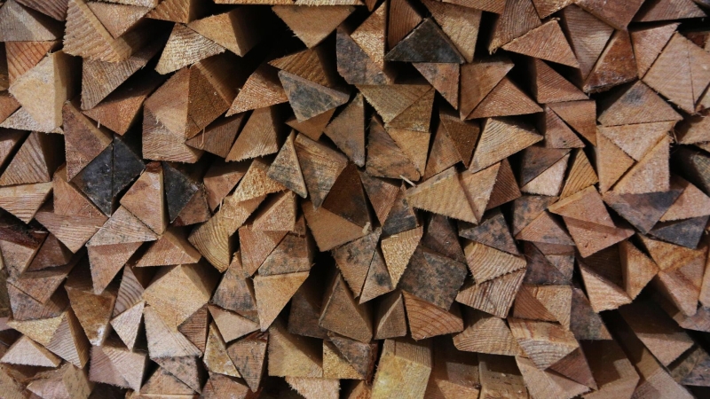 СВО стала одной из главных тем обращений на прямую линию Путина