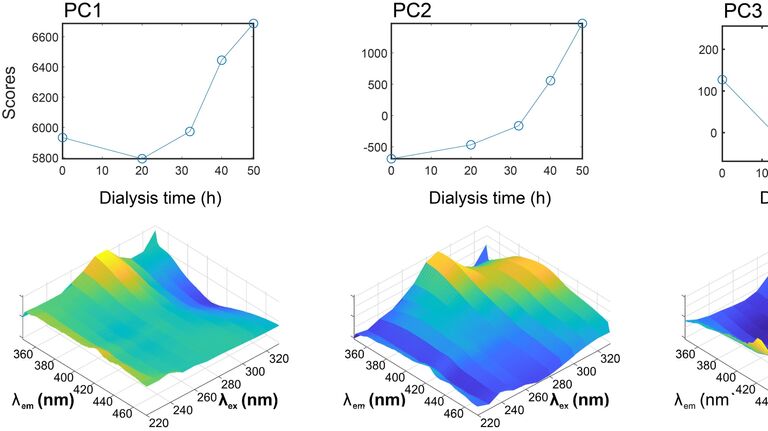 Ученые нашли способ автоматической оценки качества белков