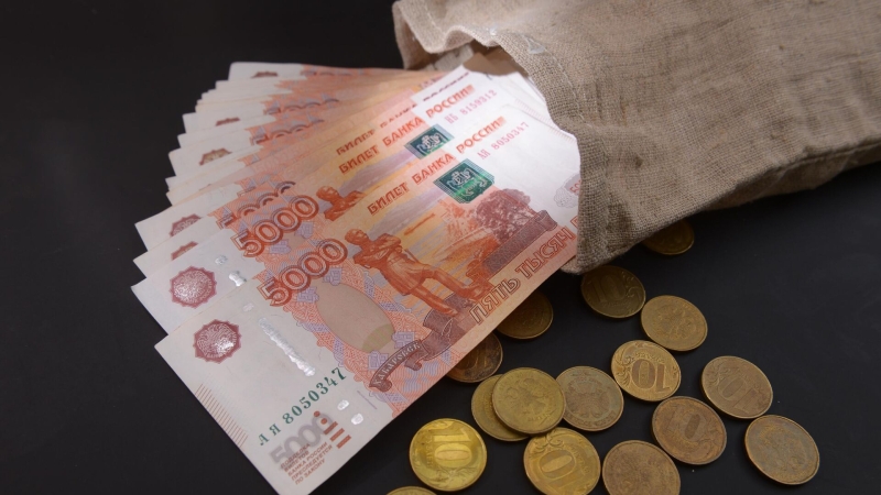 В Госдуме оценили перспективы сохранения наличных в обороте