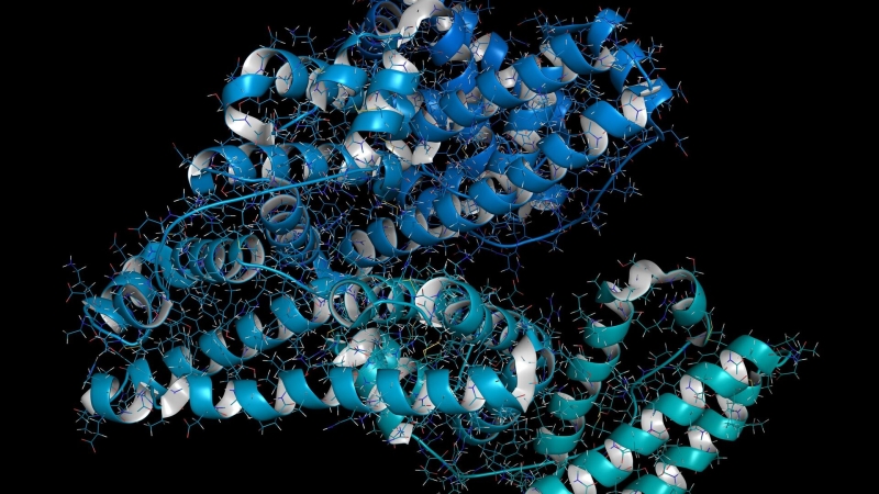 Ученые нашли способ автоматической оценки качества белков