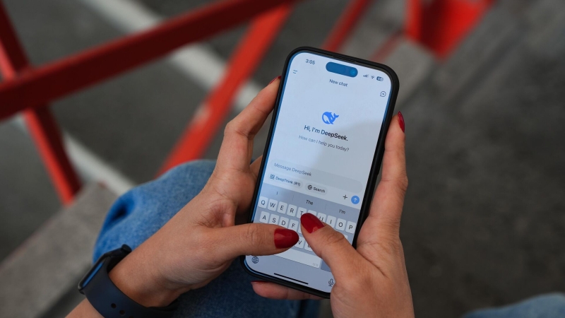 Нидерланды начнут расследовать передачу данных в КНР из-за DeepSeek