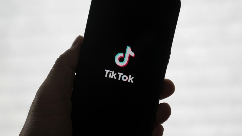 СМИ: Белый дом обсуждает передачу TikTok под контроль США