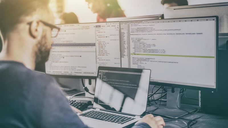 Названы самые востребованные профессии в России в 2024 году