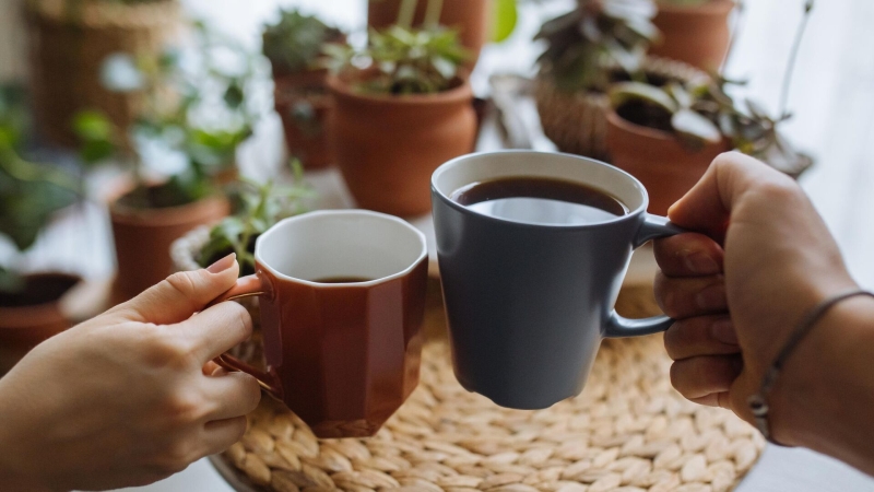 9 февраля: какой сегодня праздник, что отмечают в России и мире?