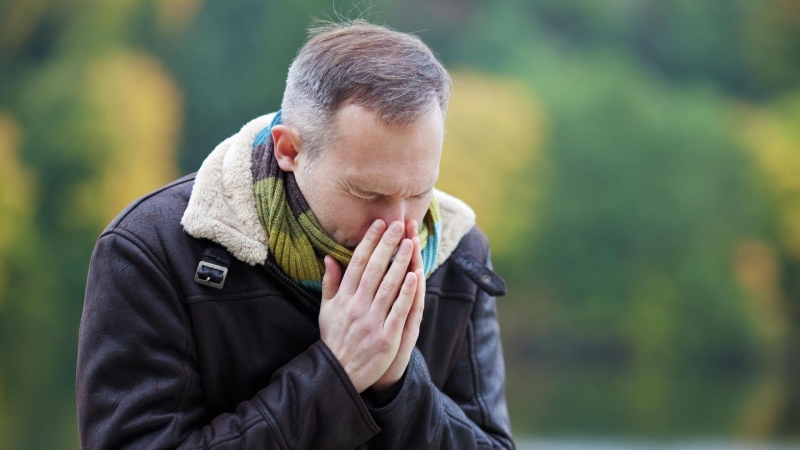 Аллергия на пыльцу березы: причины появления, лечение и профилактика