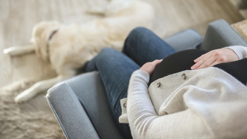 Как взять отпуск за свой счет: документы, порядок предоставления