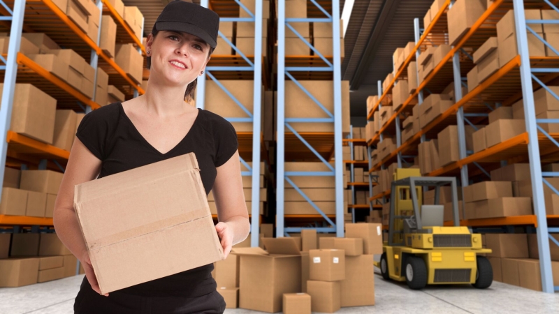 Названы самые востребованные профессии в России в 2024 году