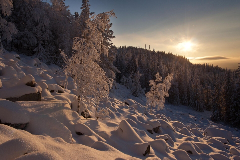 Что посмотреть в столице Урала: история и значимые места Екатеринбурга