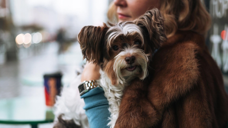 28 февраля: какой сегодня праздник, что отмечают в России и мире?