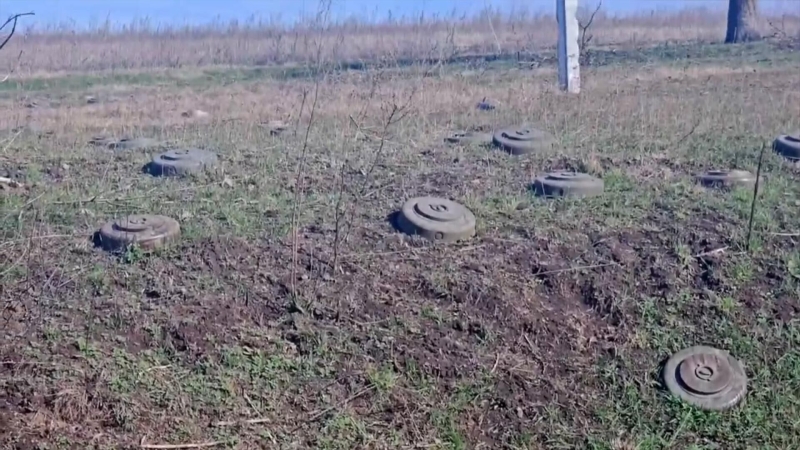 Минобороны рассказало о потерях ВСУ в Курской области за сутки