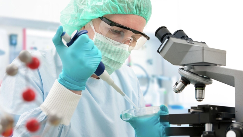 Эксперт рассказала, как ИИ помогает хакерам быстро взломать пароль