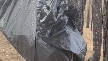 ВСУ ставят платы-ловушки для подрыва упавших FPV-дронов, сообщил разведчик