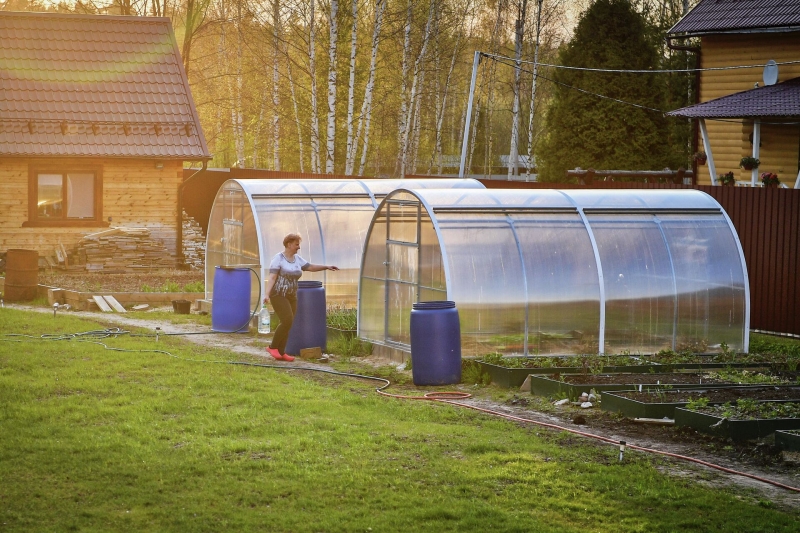 В траву или в опилки: как и когда лучше сажать картофель в 2024 году