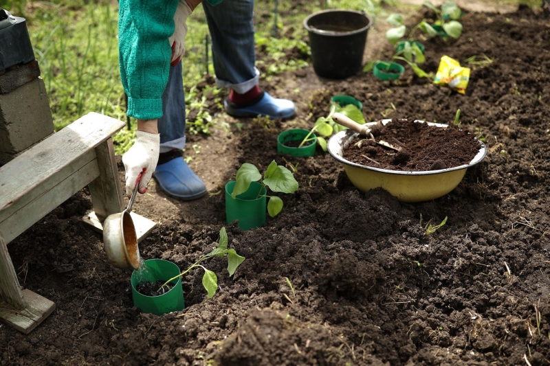 Посевной календарь на апрель-2025: благоприятные и неблагоприятные дни