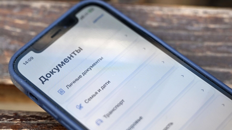 Эксперт рассказал, как мошенники обманывают россиян в госсервисах