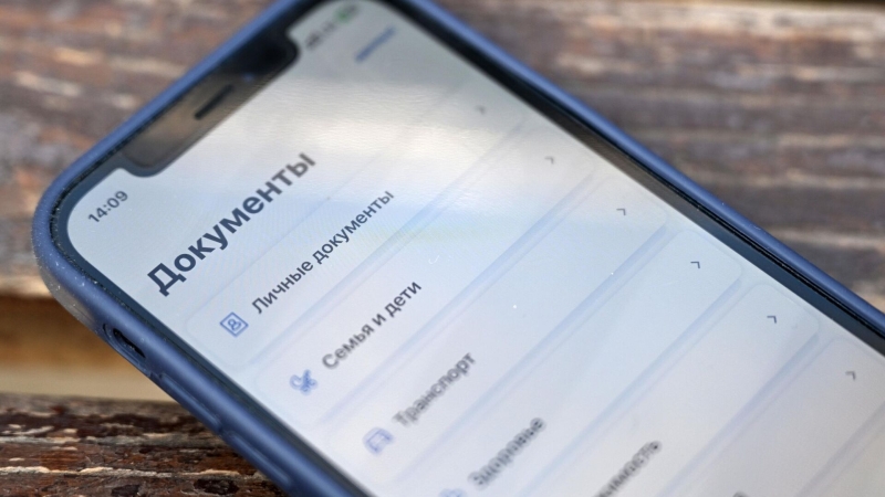 Россиян предупредили, какими данными ни с кем нельзя делиться