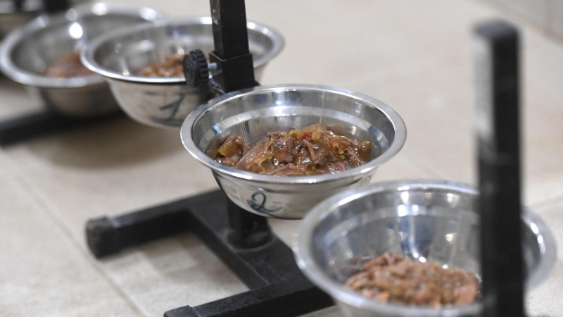 ВШЭ оценила потери бюджета из-за нелегальных кормов для животных