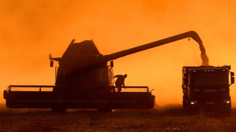 Путин оценил производительность агросектора в России