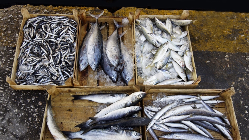 Поставки банкоматов в Россию из Китая выросли