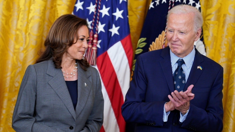 Трамп призовет провести расследование возможных выплат Харрис знаменитостям