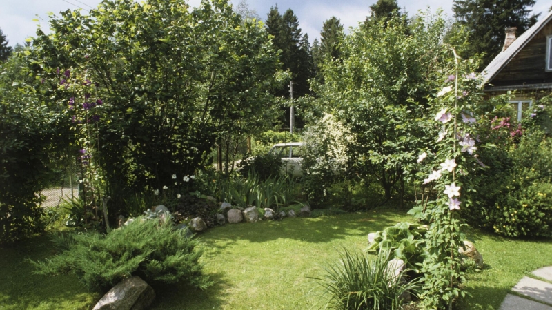 Эксперт рассказал, как выбрать генератор для дачи