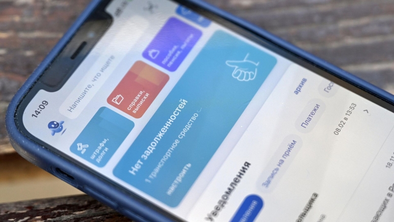 СМС с кодом для смены пароля на Госуслугах могут заменить другими способами