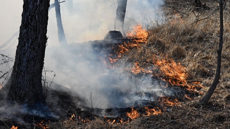Жительница поселка в Забайкалье, где бушует пожар, рассказала, чем дышит