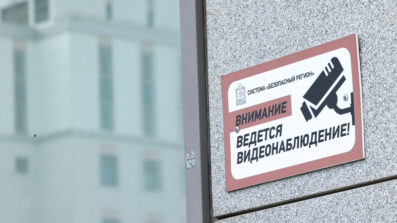 В ГД предложили запретить кормление бездомных животных около медучреждений