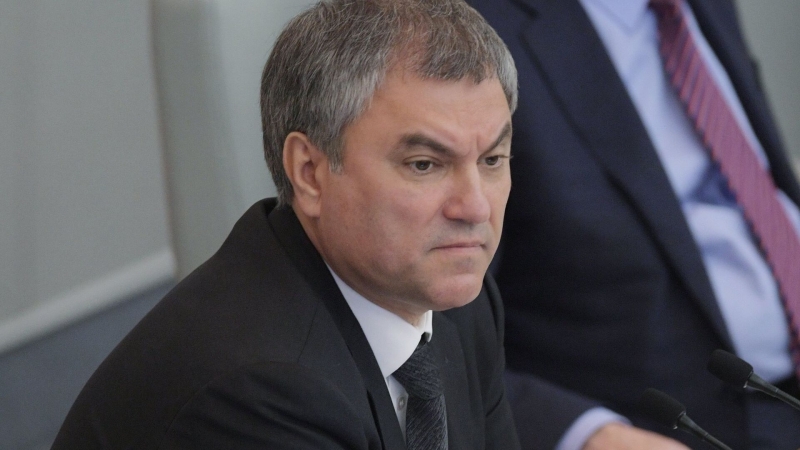 Глава организации помощи женщинам получила пять штрафов