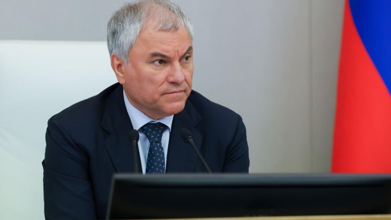 Володин завел канал в мессенджере MAX