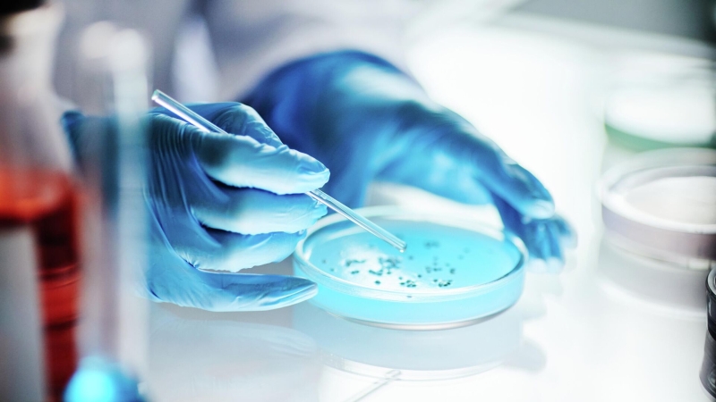 Ученые повысили мощность батареек из бактерий