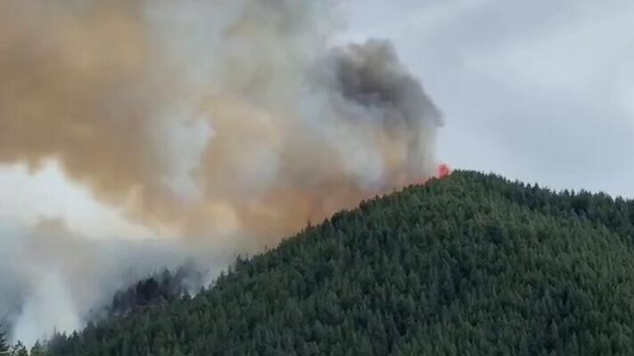 В российских регионах продолжают действовать 35 лесных пожаров